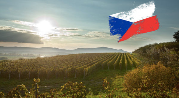 czech republic tschechische republic weinberge tschechien